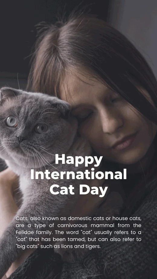 Dark-Minimalist-International-Cat-Day-Instagram-Story
