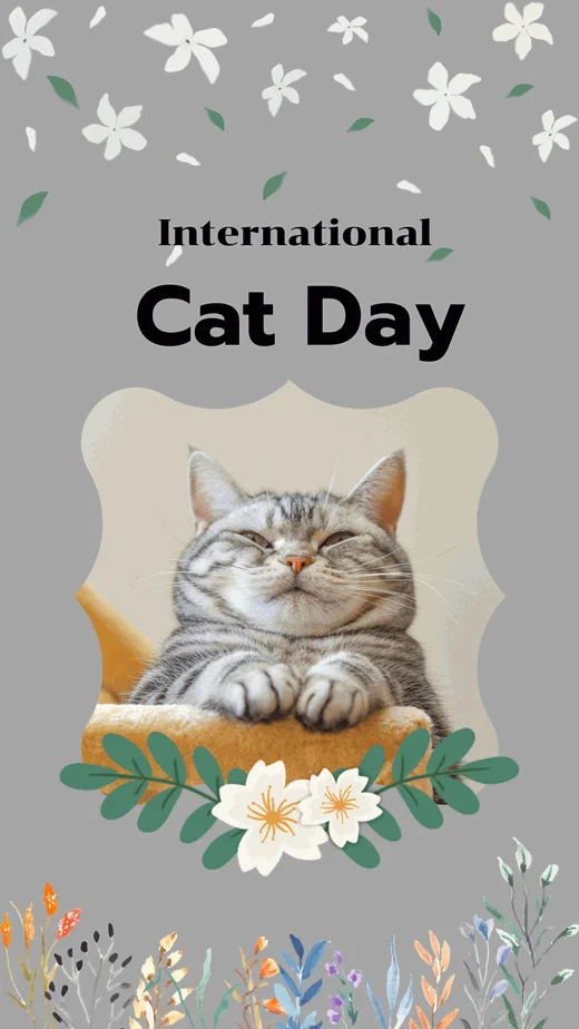 Gray-Cute-Cat-International-Cat-Day