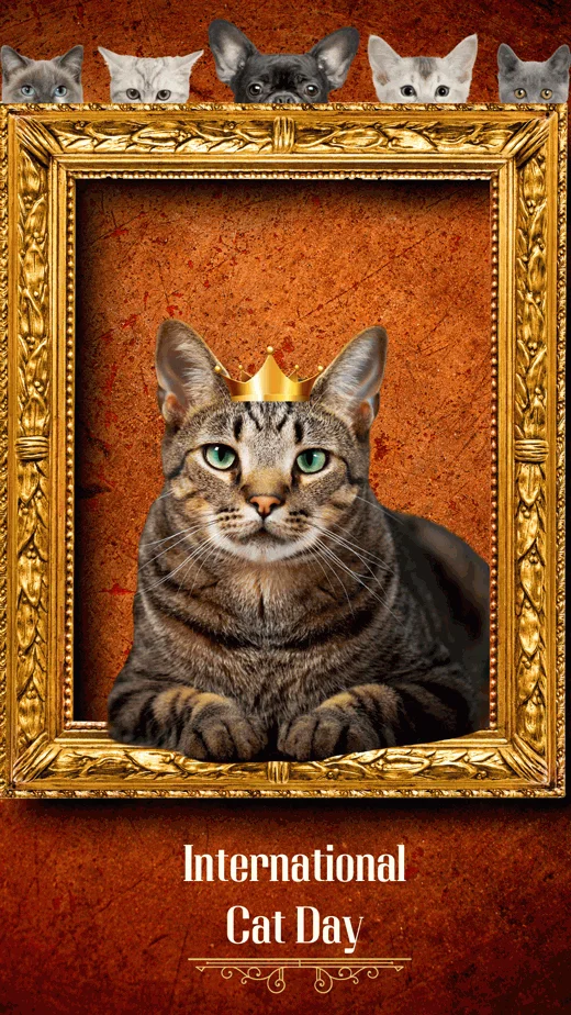 King-Cat-International-Cat-Day-