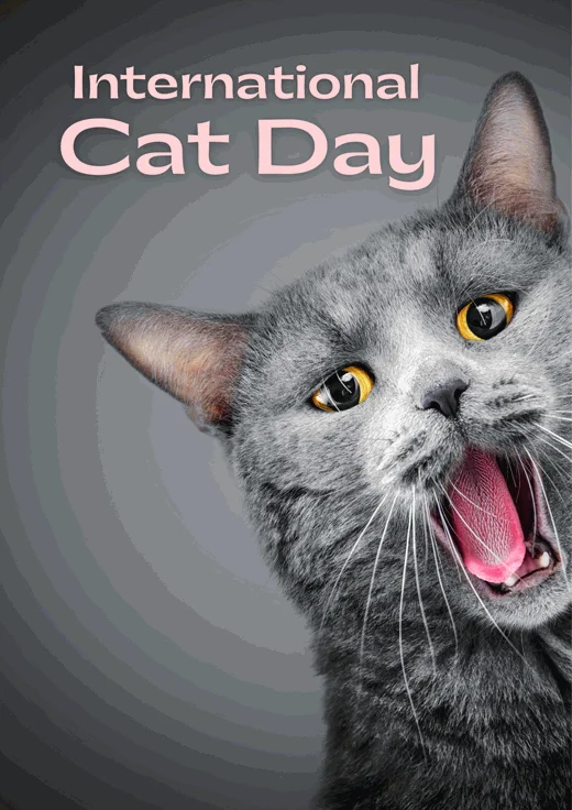 Pink,-Grey-Minimalist-International-Cat-Day-(Poster)