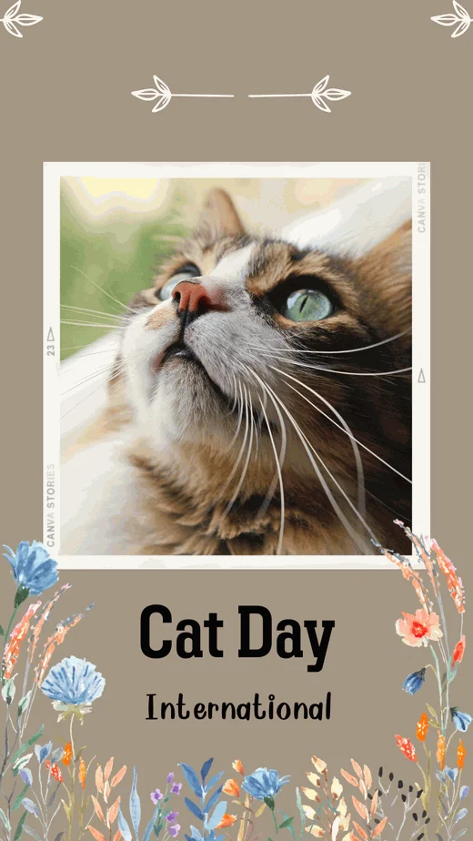 happy-cat-day-