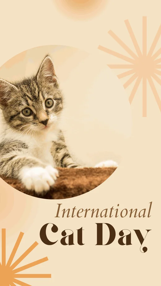 international-cat-day-