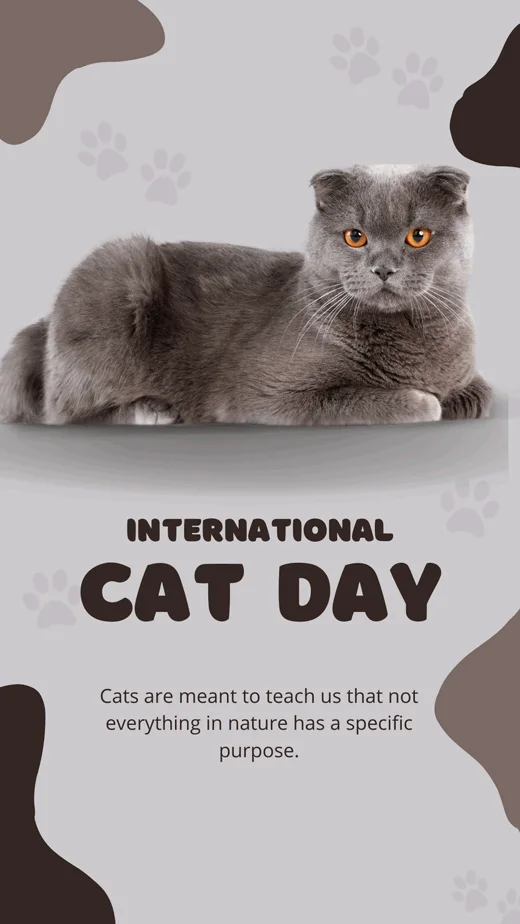 international-cat-day-2022-