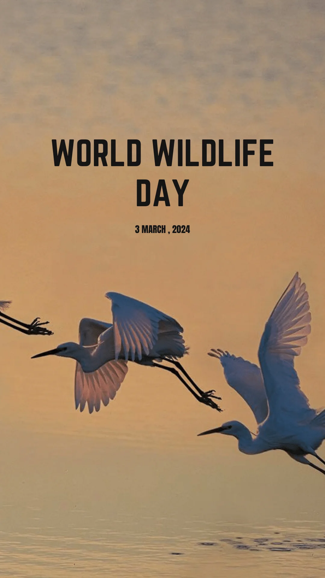 Sustainable-Wildlife-Day