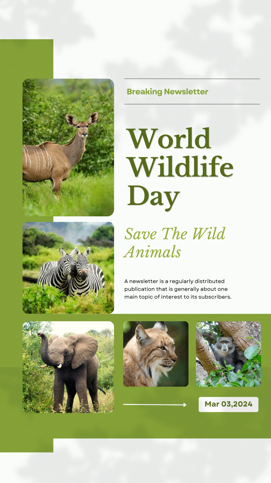 Wildlife-Awareness-Day