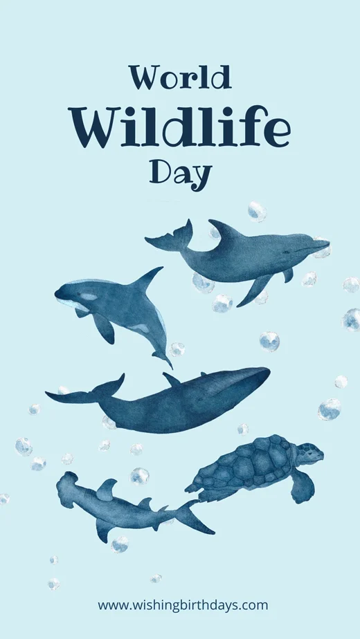 national-wildlife-day-