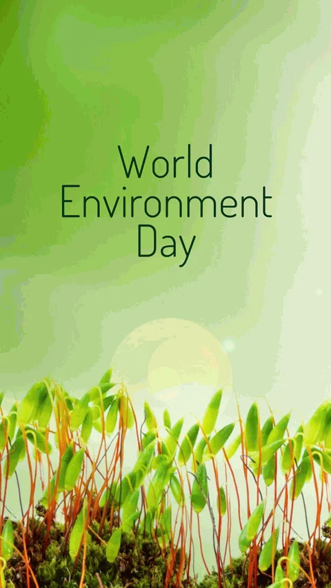 world-environment-day-