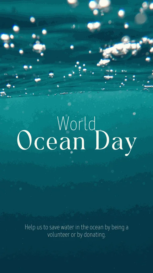 international-ocean-day-